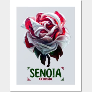Senoia Georgia Posters and Art